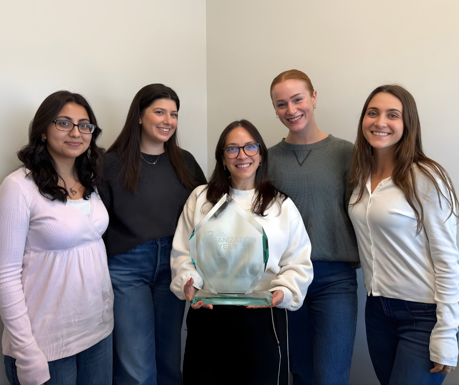 Spotlight Placeholders New Website Build 1